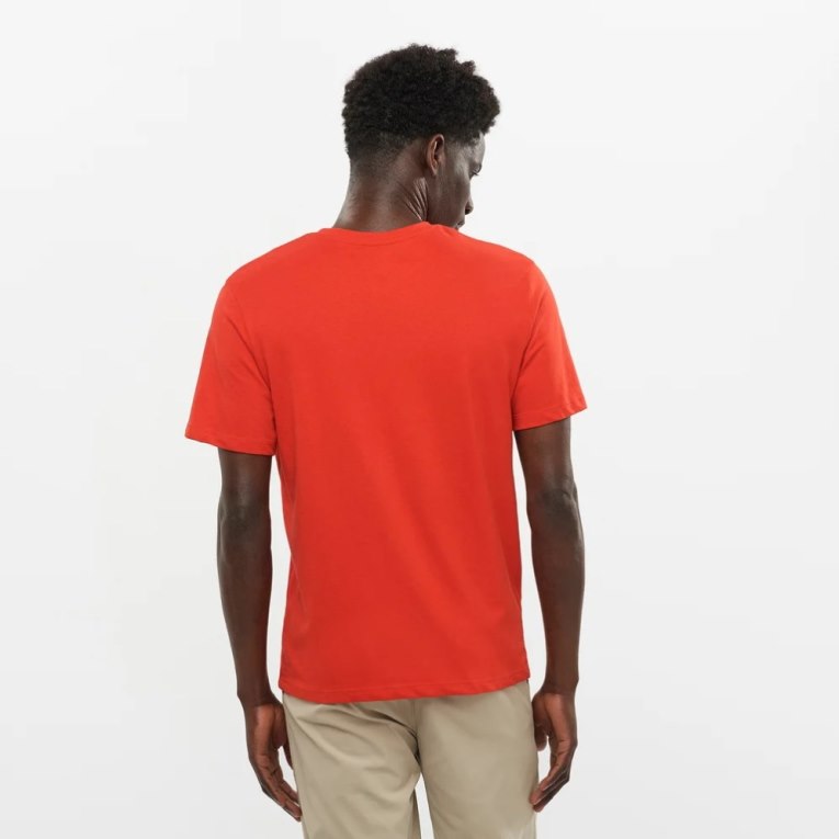 Camiseta Salomon Outlife Logo Curta Sleeve Masculino Laranja | PT W09643